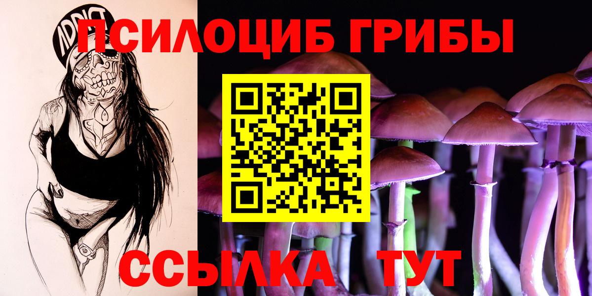 Галлюциногенные грибы Psilocybine cubensis Кунгур