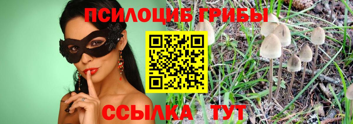 Кунгур  Галлюциногенные грибы GOLDEN TEACHER  даркнет сайт  Вход с VPN 